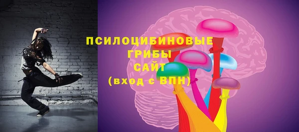тгк Арсеньев