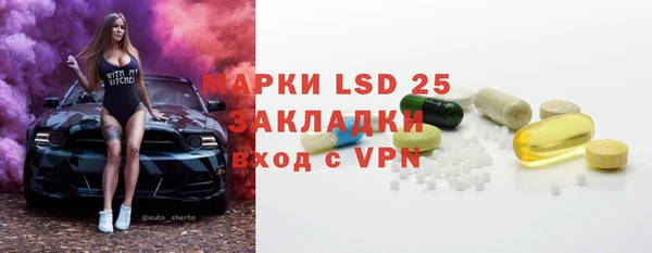 стаф Алзамай