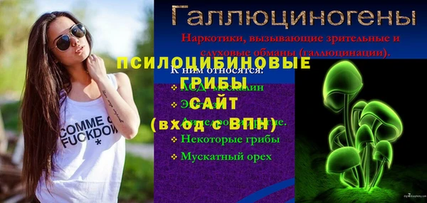 тгк Арсеньев
